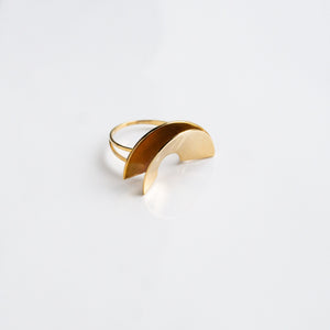 Metalepsis: Lygia Ring