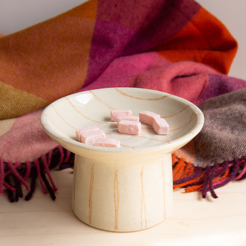 Garden Club Ceramics: Ceramic Pet Bowl