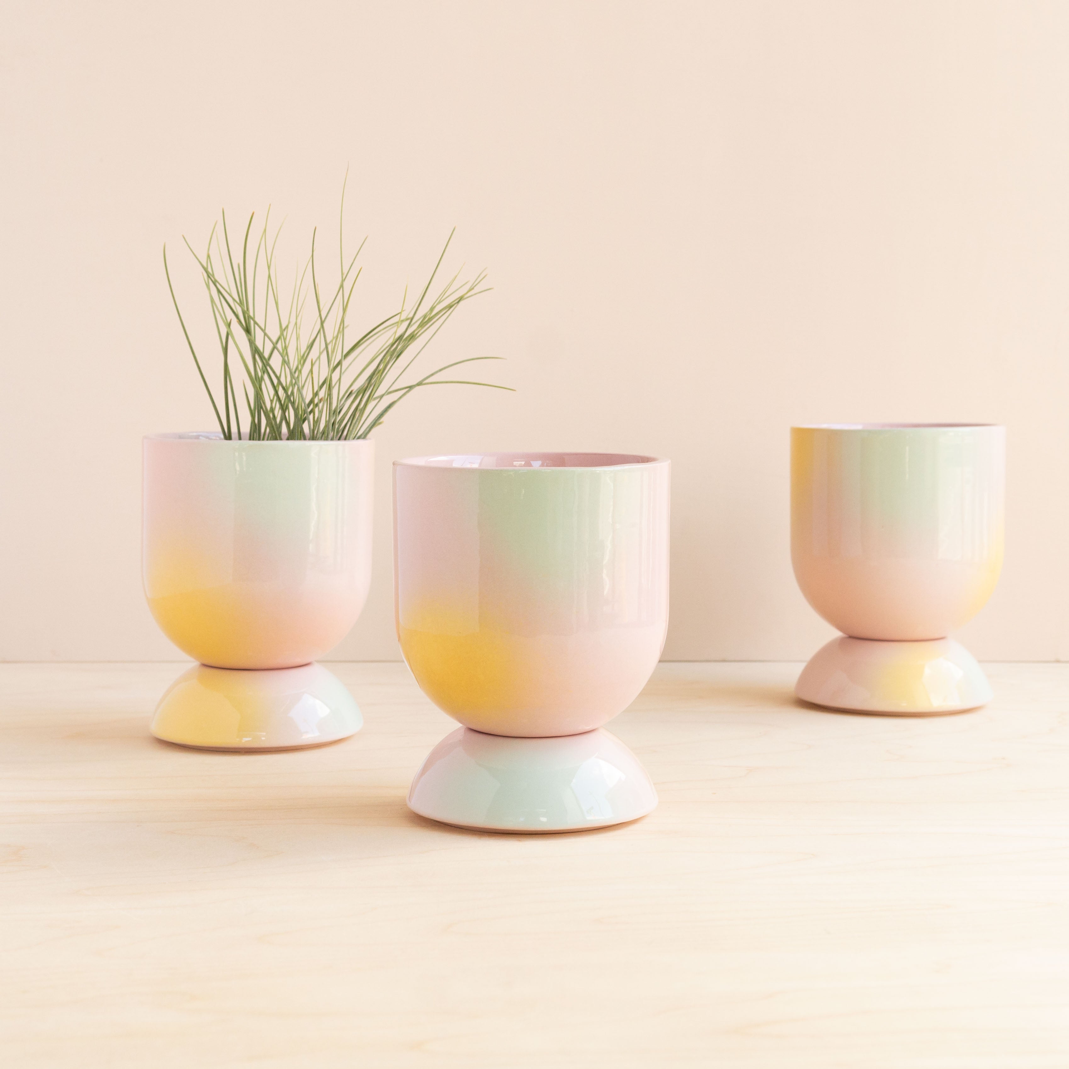 Temple Ceramics: Mini Euphoria Pot & Saucer