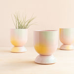 Temple Ceramics: Mini Euphoria Pot & Saucer