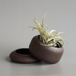 Los Objects: Joshua Planter