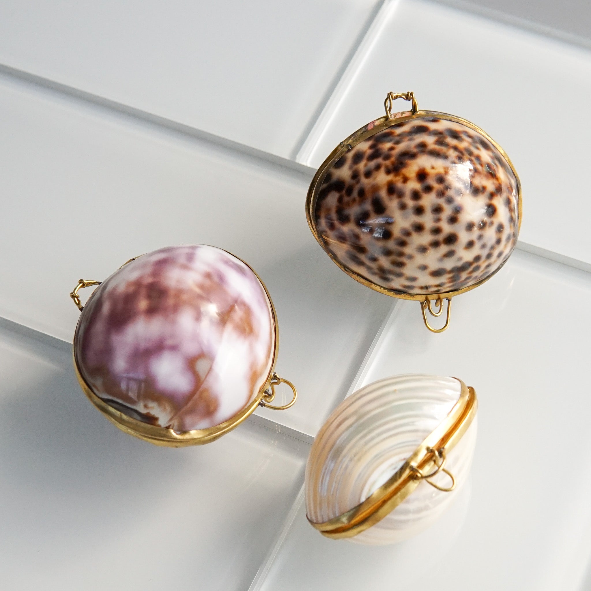 Earth Tu Face: Seashell Lip Balm – Mantel