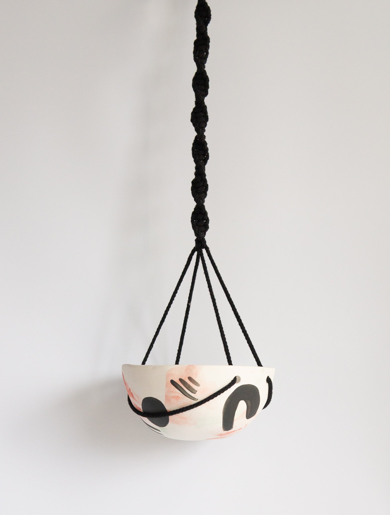 Technicolor Dino: Hanging Planter
