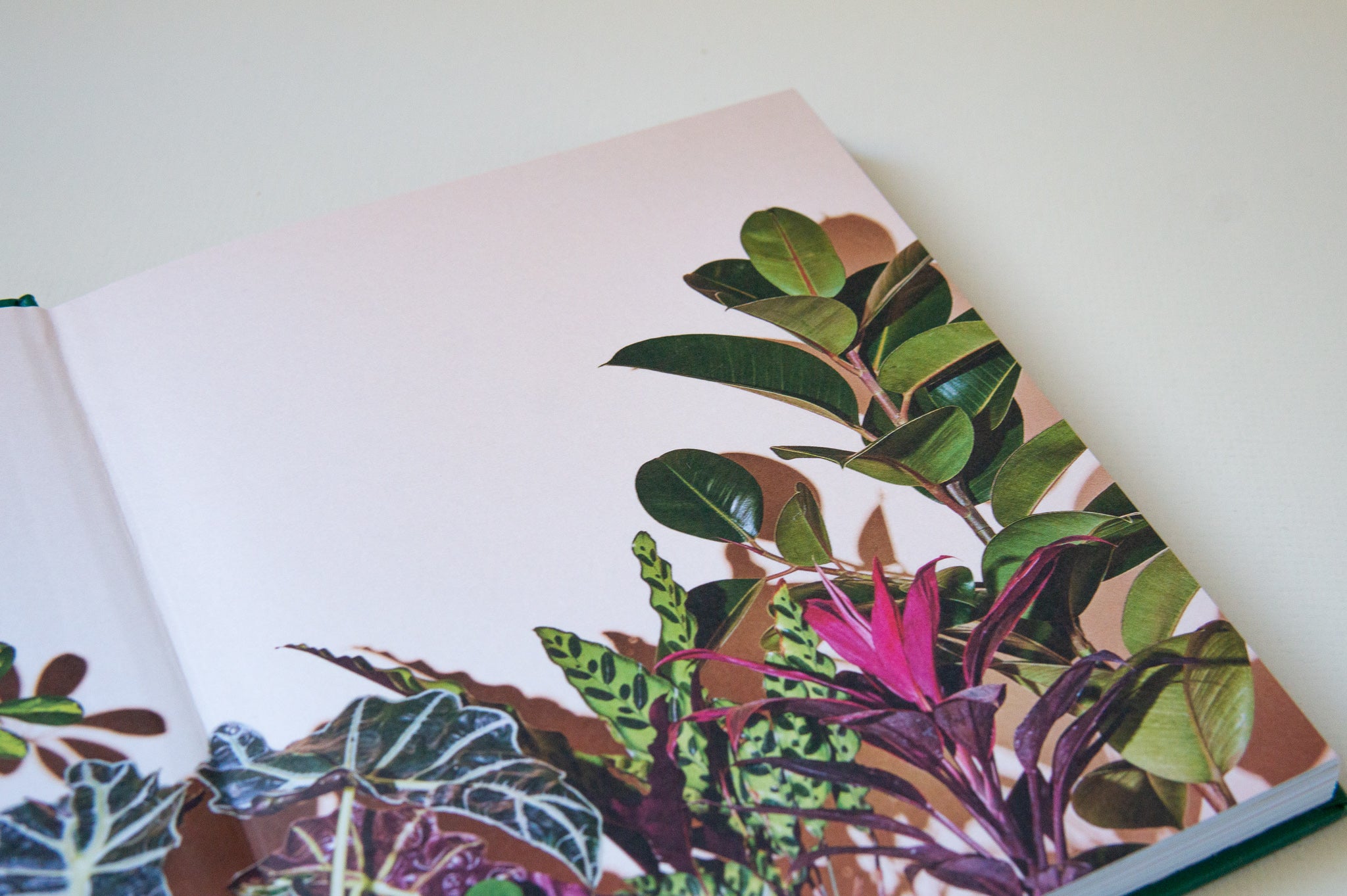 The Little Book of House Plants and Other Greenery