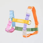 Furlou: Multi Color Dog Harness